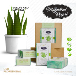 Champú Sólido Perros Aloe Vera | Ecológico y Vegano