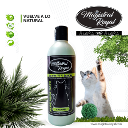 Champú Aloe Vera para Gatos | Cuidado Felino Natural