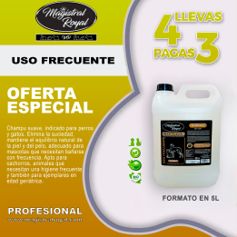 Oferta 4x3 Champú Uso Frecuente Perros | Magistral Royal